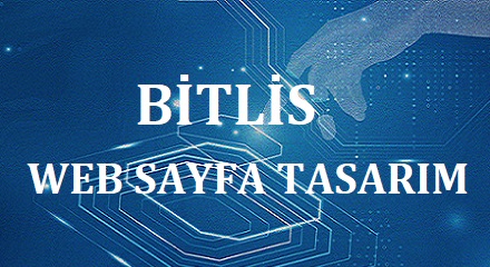 Bitlis Web Tasarım